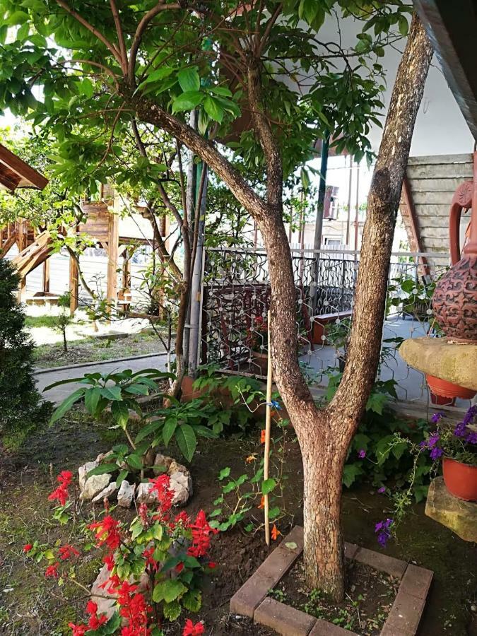 Runo Guest House Gagra Exterior photo